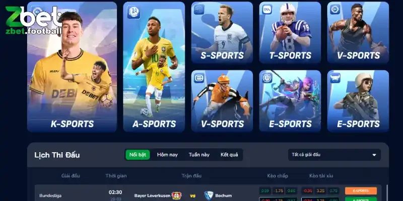 Cược thể thao đa dạng